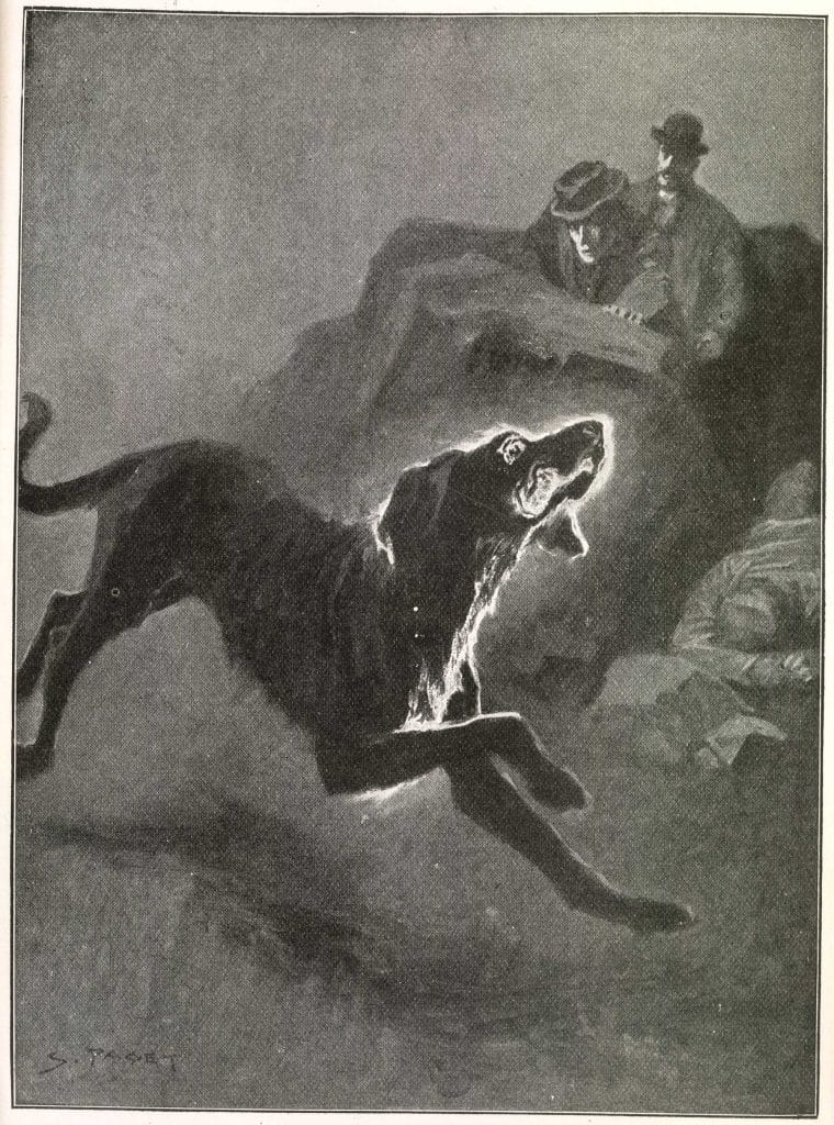 巴斯克维尔的猎犬壁纸图片