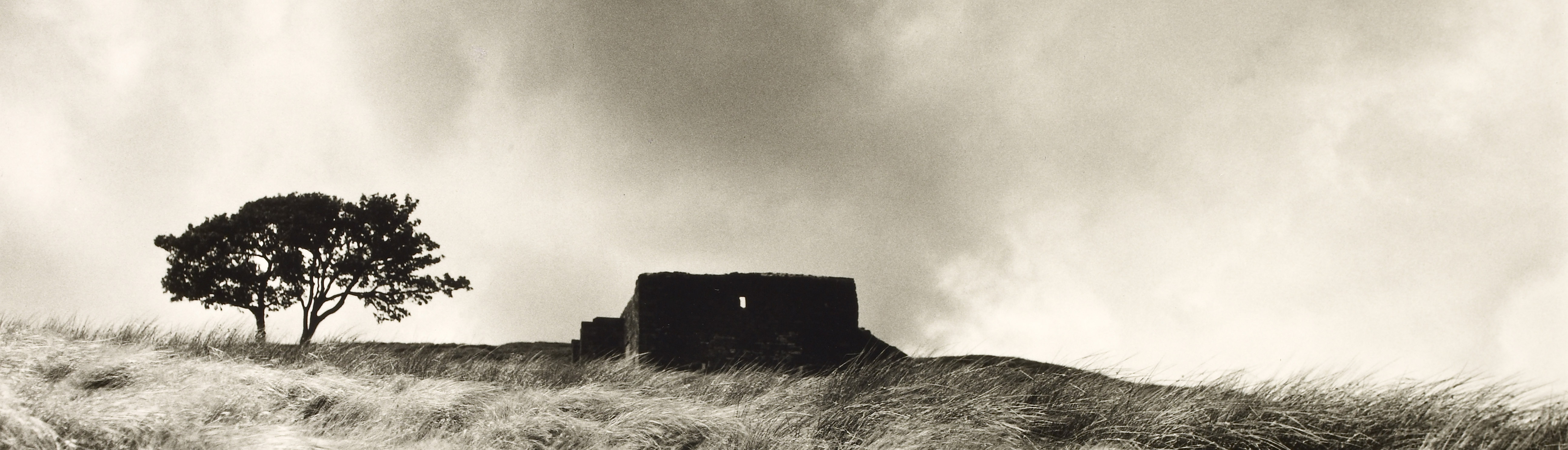 Emily Brontë #39 s Wuthering Heights The British Library